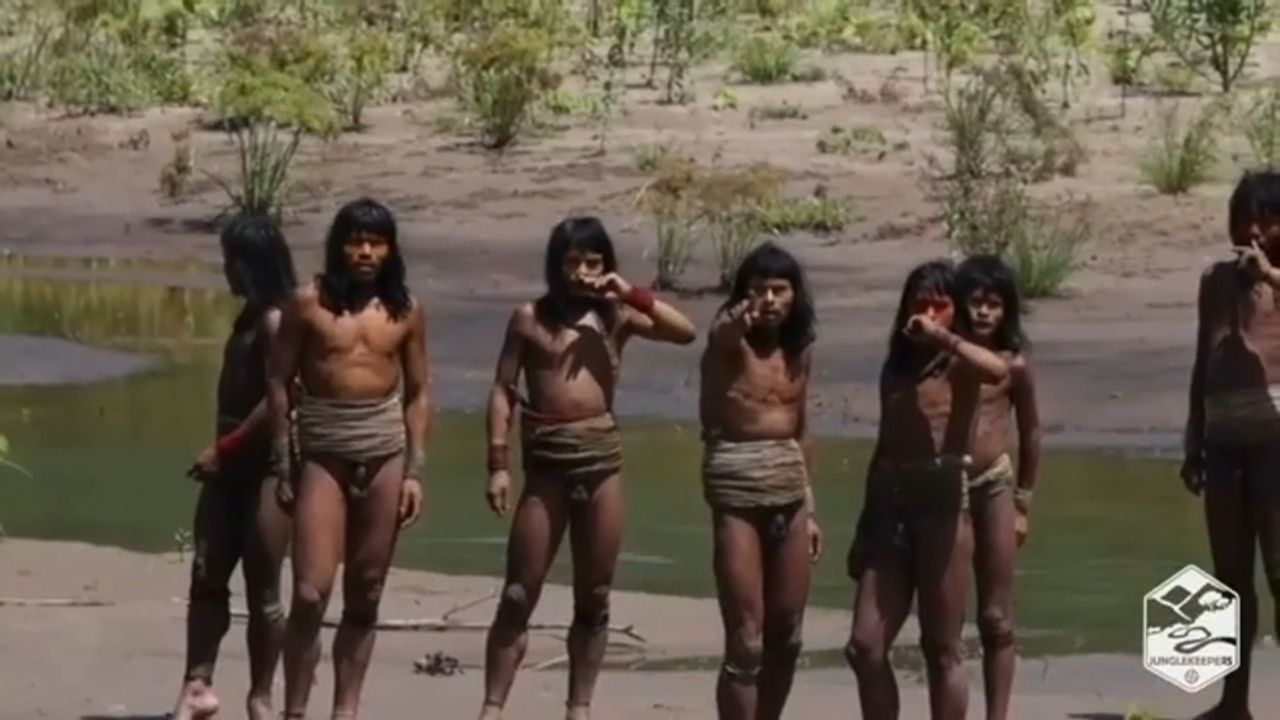 Tribus Amazoniennes Isolées : Entre Survie et Menaces au Cœur de la Forêt