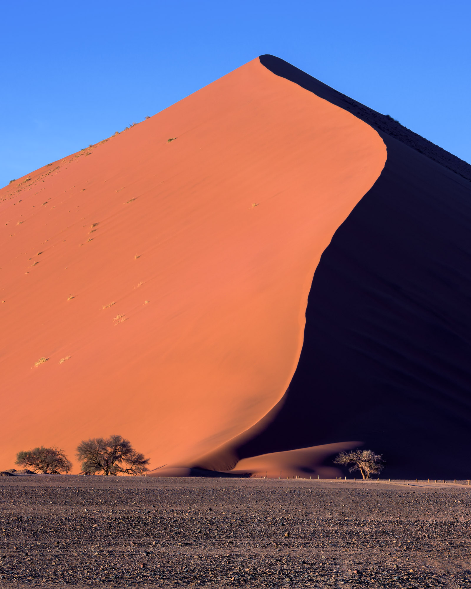 Comprendre la dune : formation, enjeux et protection