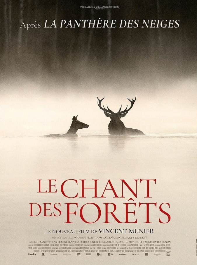 Le chant des forêts : écouter pour mieux protéger nos forêts