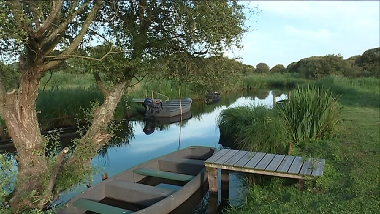 Le marais de Brière : nature, traditions et protection