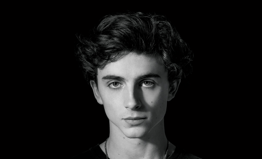 Timothée Chalamet : parcours et reconnaissance après 2017