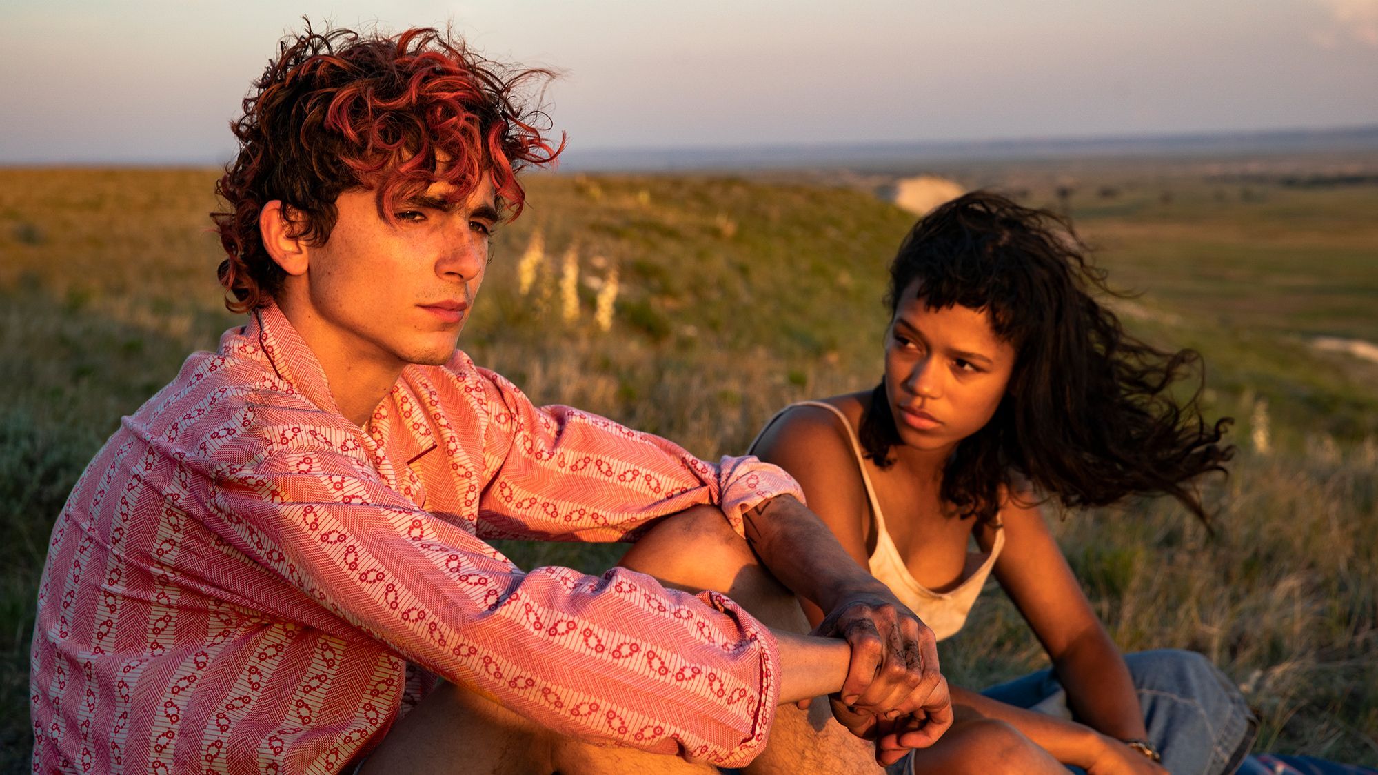 Les films de Timothée Chalamet : succès et perspectives