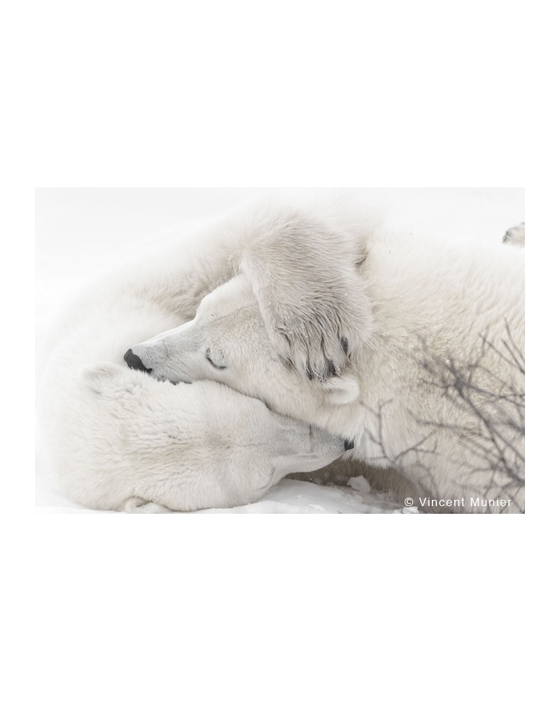 Vincent Munier : comment trouver des informations fiables et pertinentes