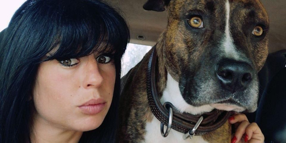 Curtis chien : état actuel et enjeux judiciaires