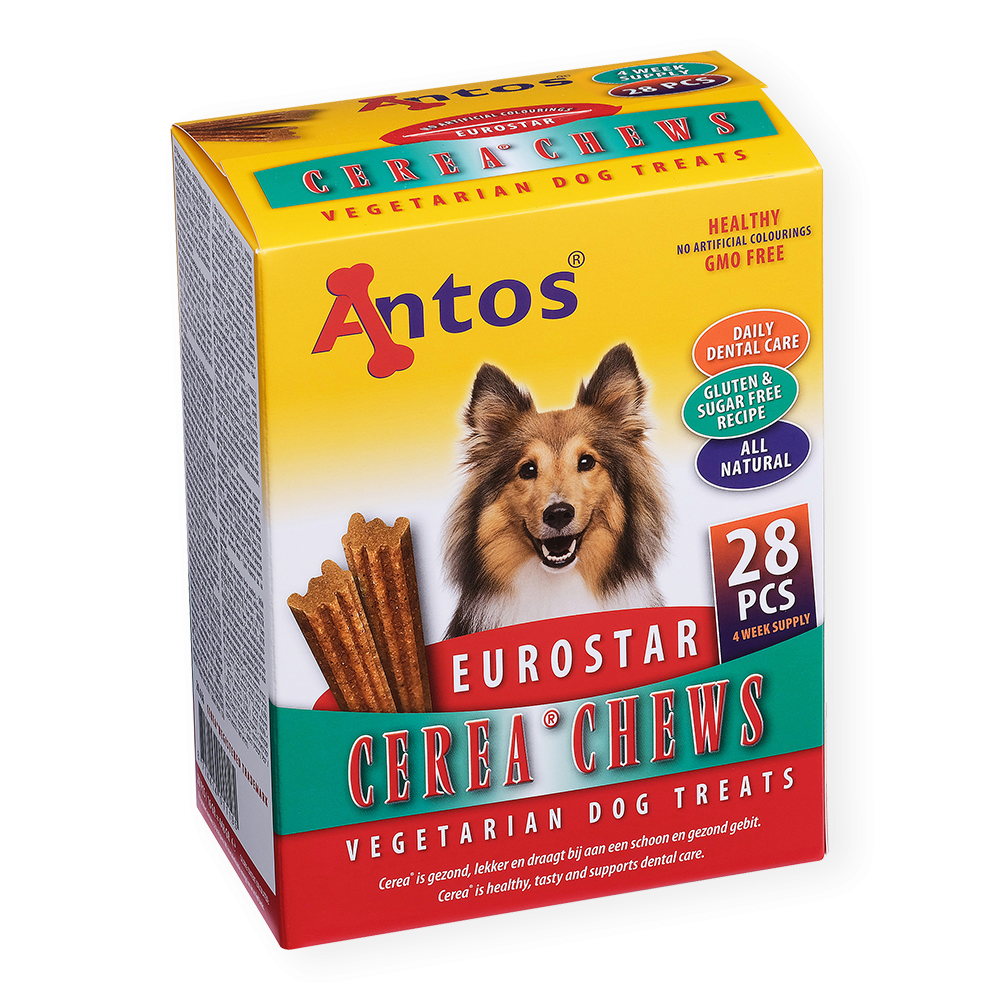 Eurostar : rapidité, itinéraires et perspectives pour les voyageurs