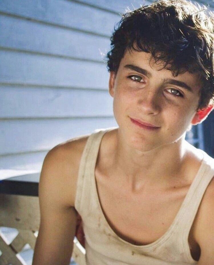 Timothée Chalamet : carrière, rôles marquants et influence culturelle