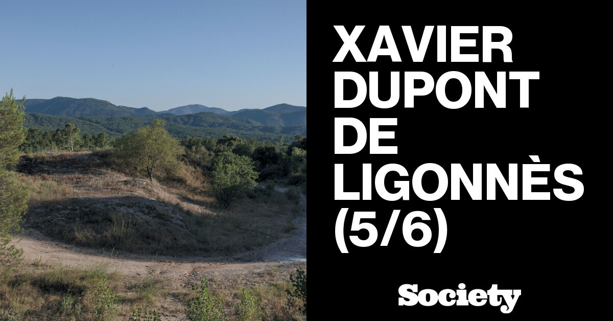 Affaire dupont de ligonnes : état des lieux et enjeux