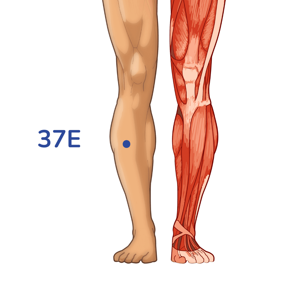 Le Point : rôle, couverture et controverse Wikipédia (février 2025)