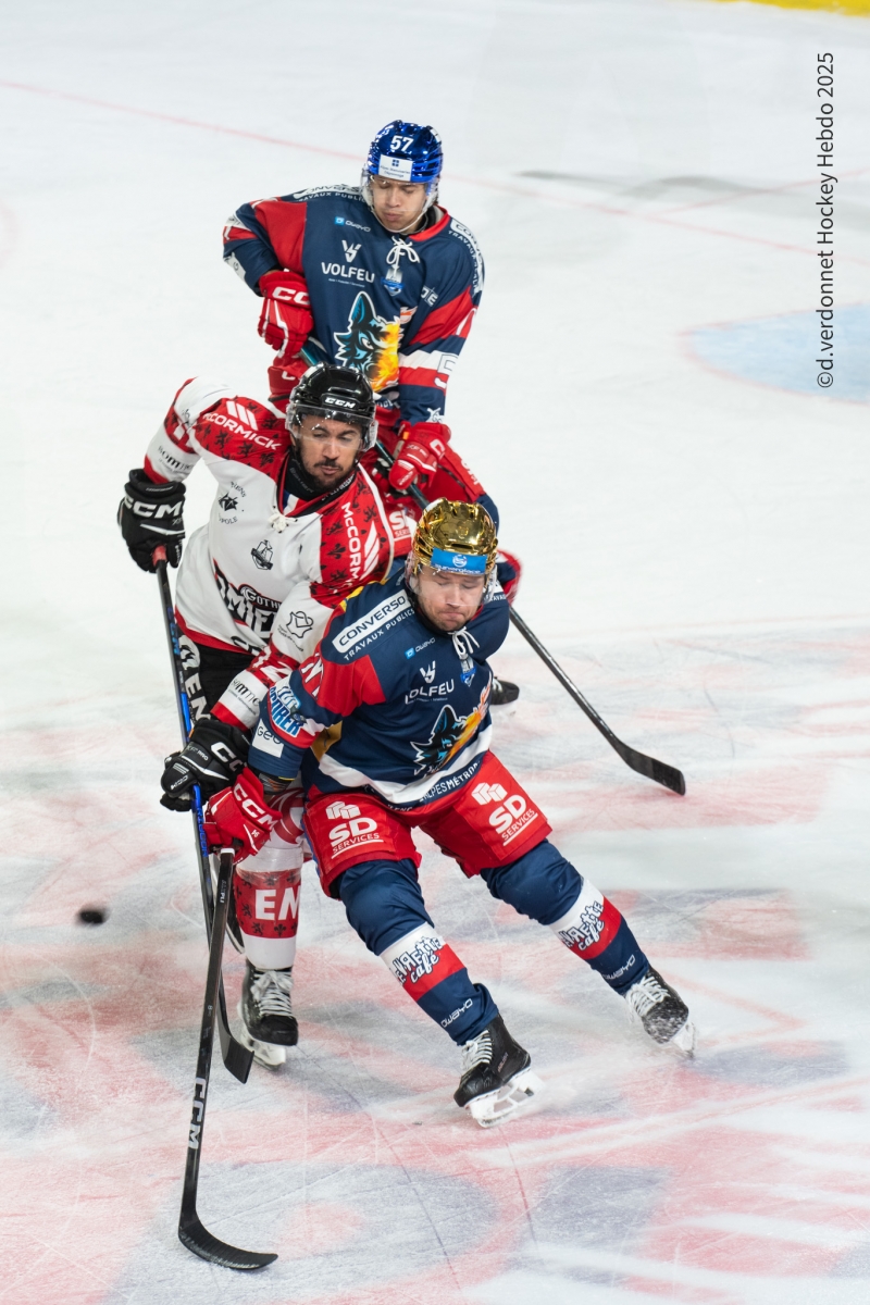 Ligue Magnus : état des lieux du championnat élite de hockey sur glace - ligue magnus 19
