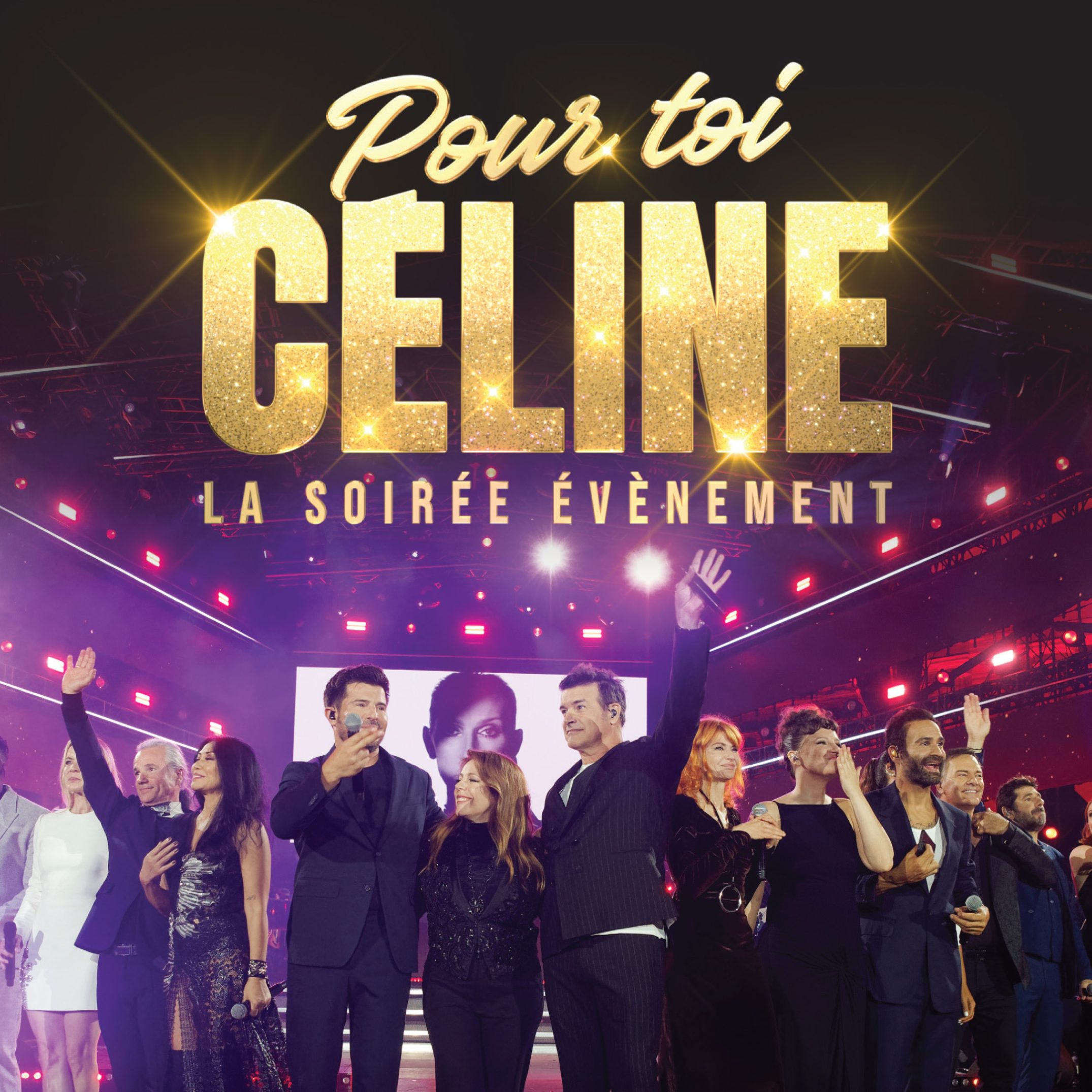 « Pour toi celine » : comprendre une dédicace et ses usages - pour toi celine 28